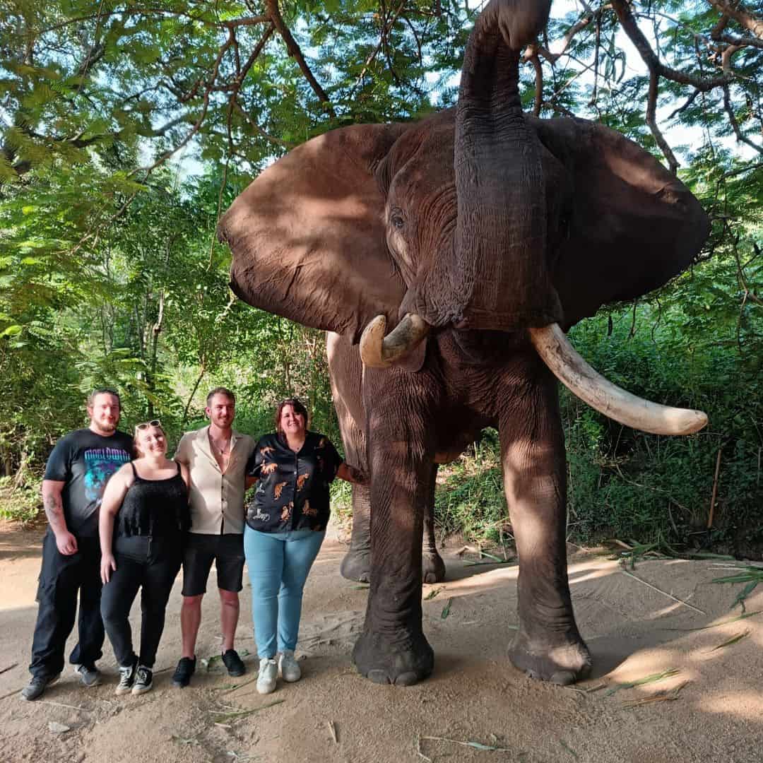 BIG 6 ADVENTURE PACKAGE- HAZYVIEW