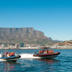60 MIN OCEAN SAFARI CRUISE - CAPE TOWN