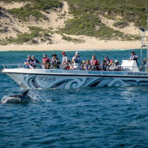 MARINE ECO-TOUR CRUISE - KNYSNA