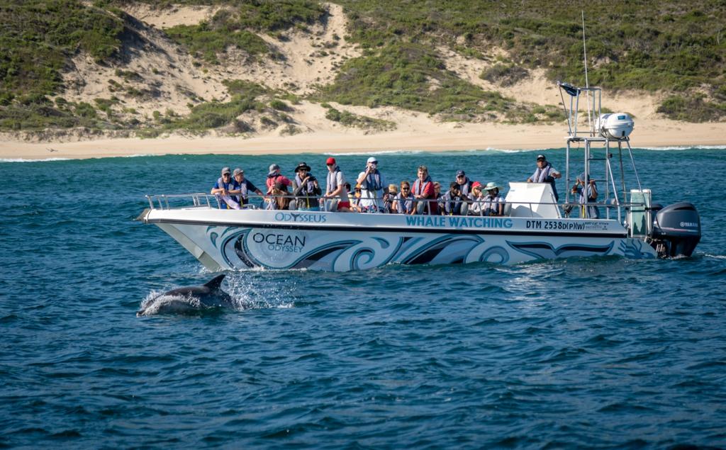 MARINE ECO-TOUR CRUISE - KNYSNA