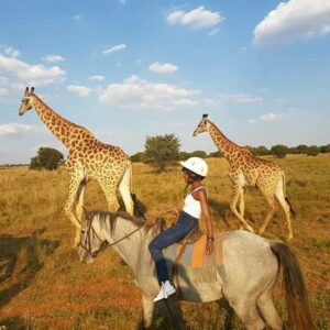 horse riding hartbeespoort
