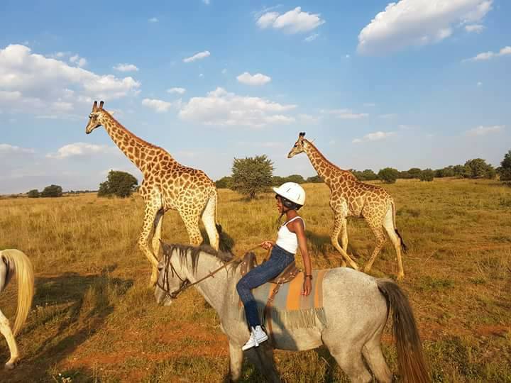 horse riding hartbeespoort