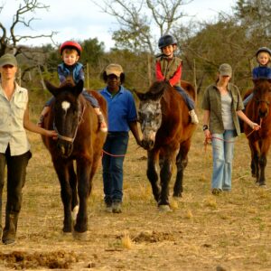 30 Minute Horse Trail Hazyview