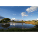 Cape to Kruger Package