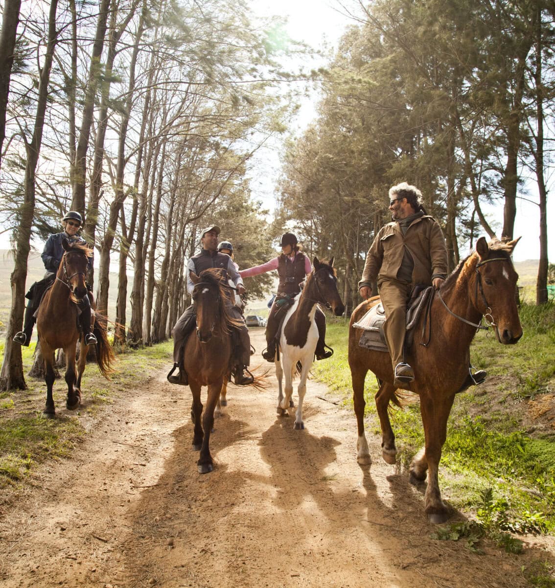 HORSE TRAILS - STANFORD