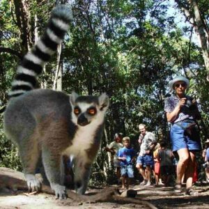 MONKEYLAND - PLETTENBERG BAY