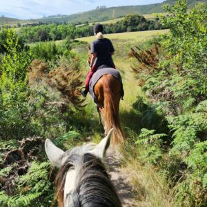HORSE RIDING TRAIL - PLETTENBERG BAY
