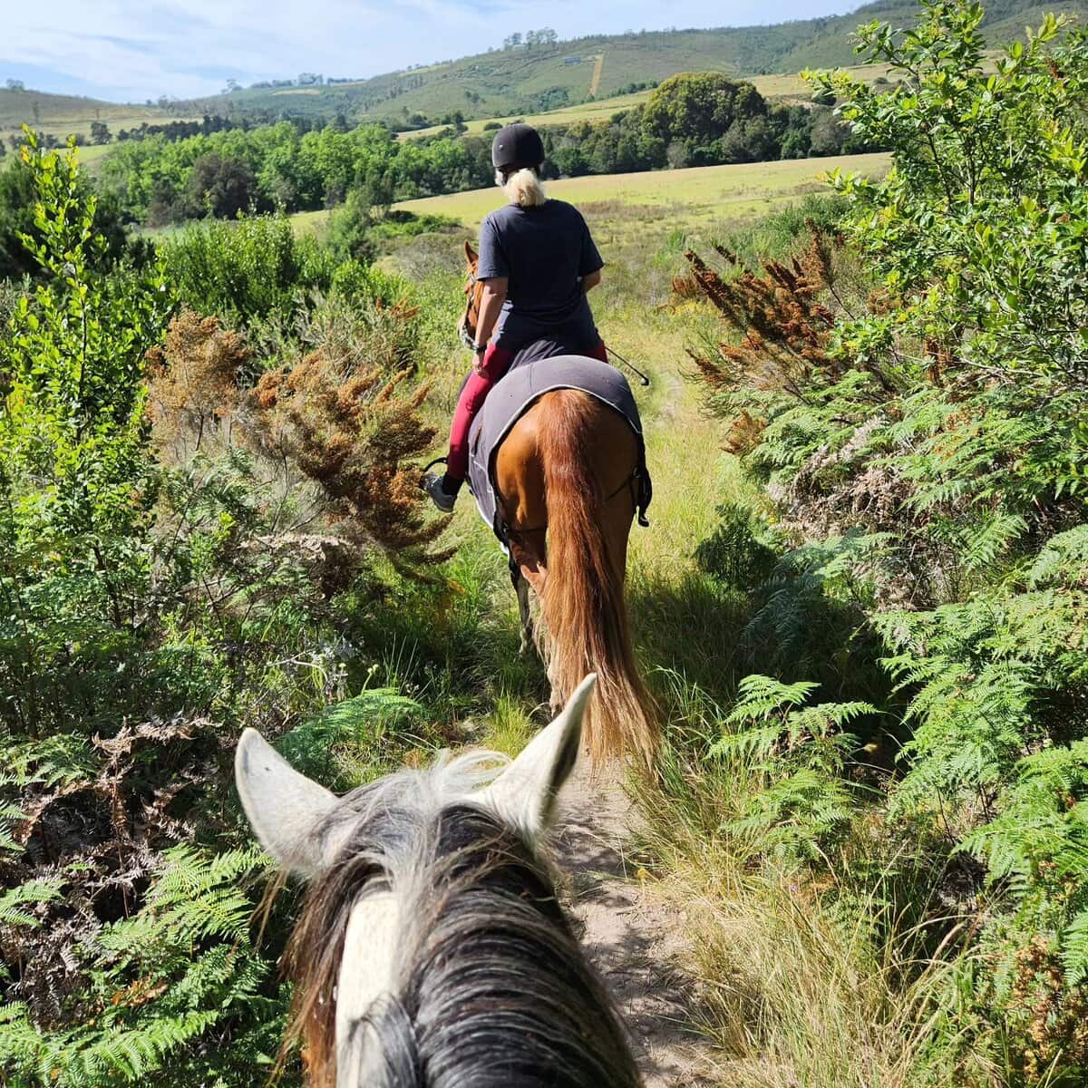 HORSE RIDING TRAIL - PLETTENBERG BAY