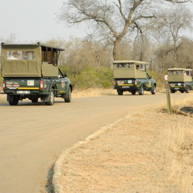 Kruger Park safari vehicle