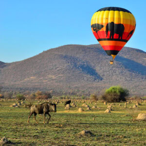 HOT AIR BALLOON SAFARI - PILANESBERG / SUN CITY