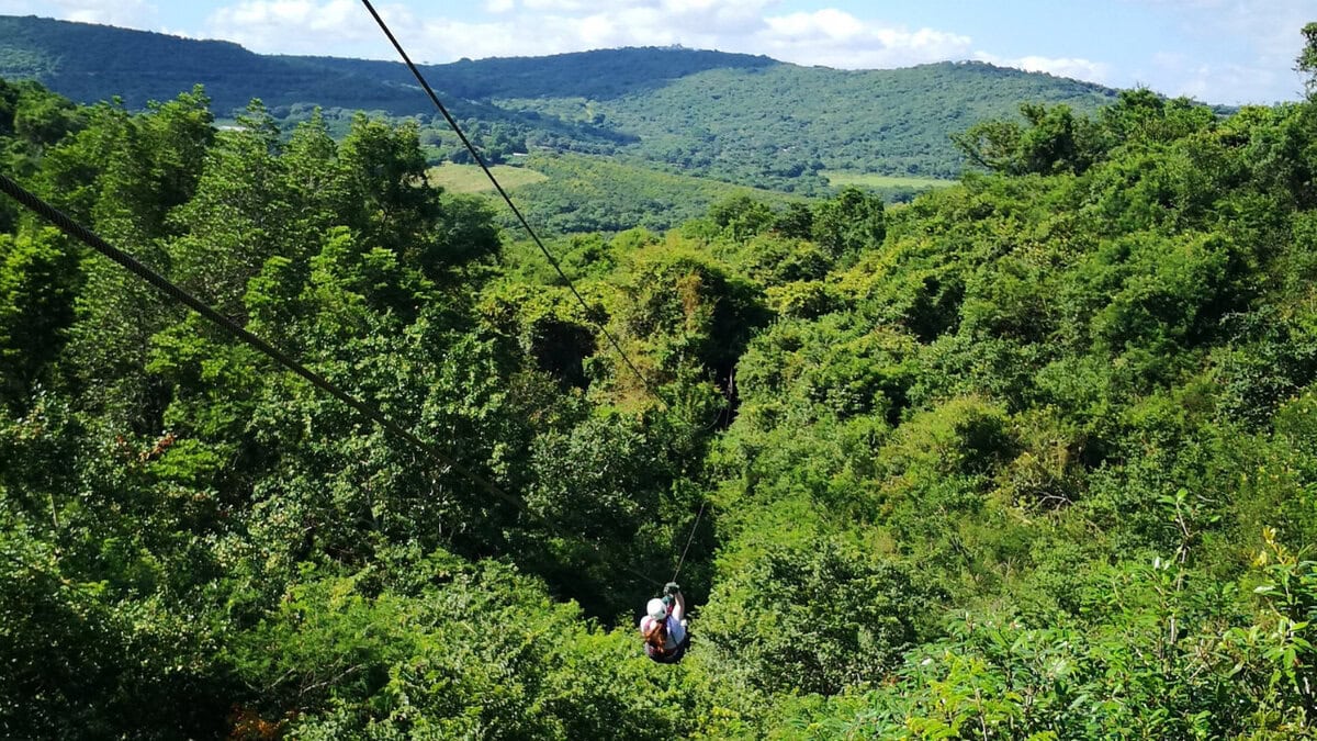 Aerial Cable Trail – Hazyview