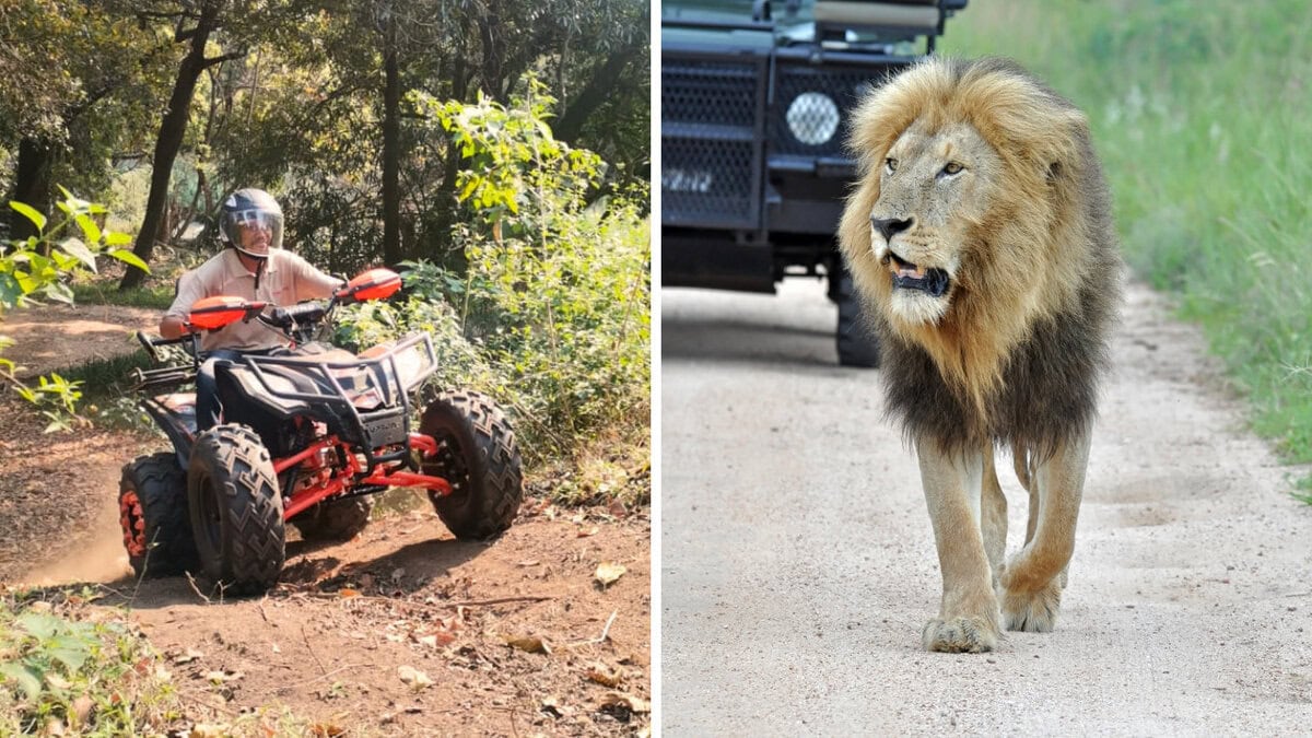 Half Day Safari + Quad Bike Trail