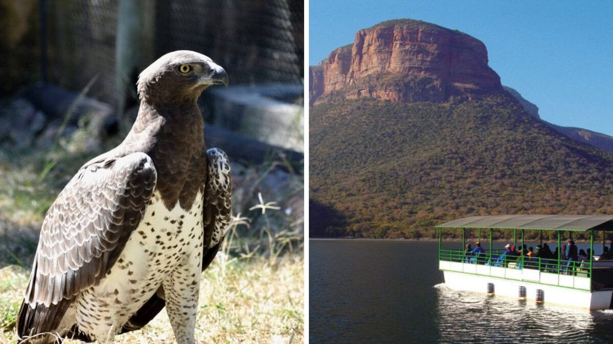 Blyde Boat & Moholoholo Tour