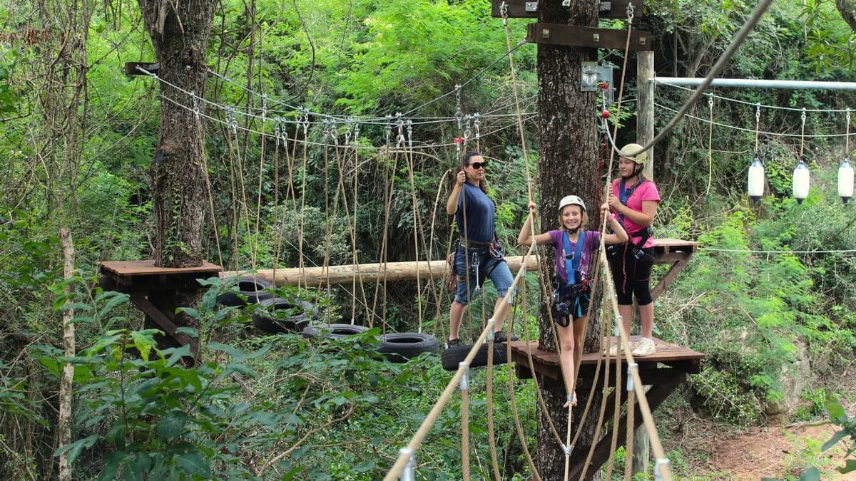 Tree Top Challenge – Hazyview