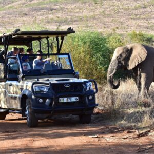 SAFARIS