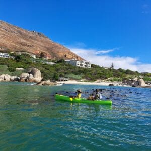 KAYAKING - SIMONS TOWN