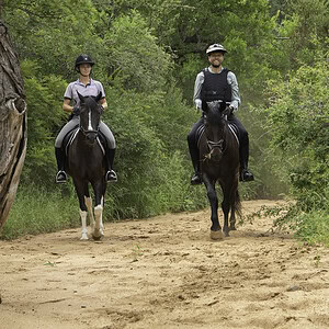 HORSE RIDING SAFARI - HOEDSPRUIT