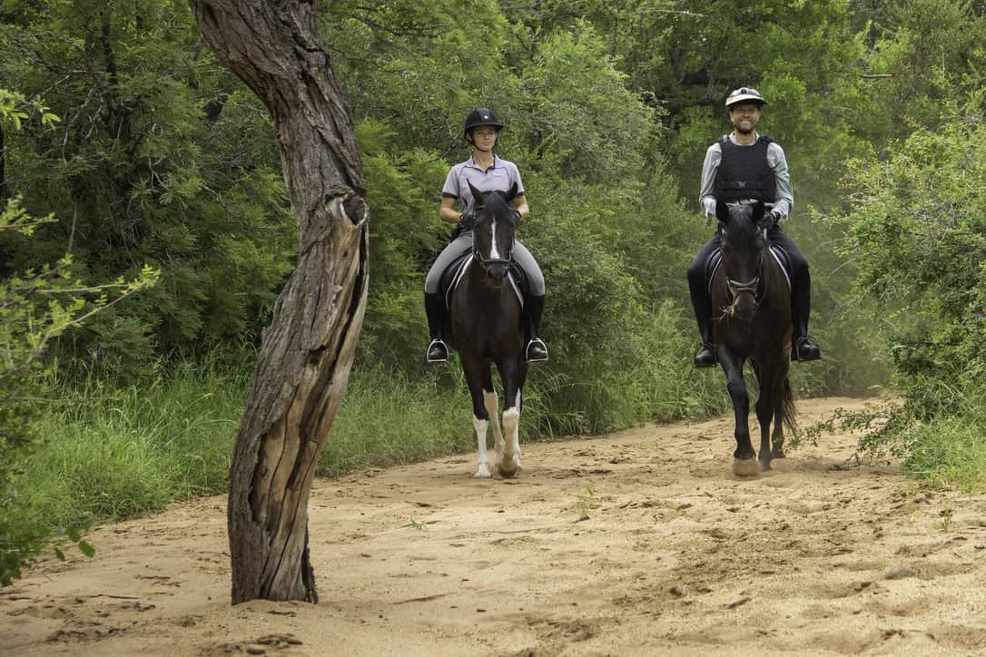 HORSE RIDING SAFARI - HOEDSPRUIT