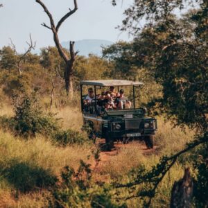 BIG 5 GAME DRIVES - HOEDSPRUIT