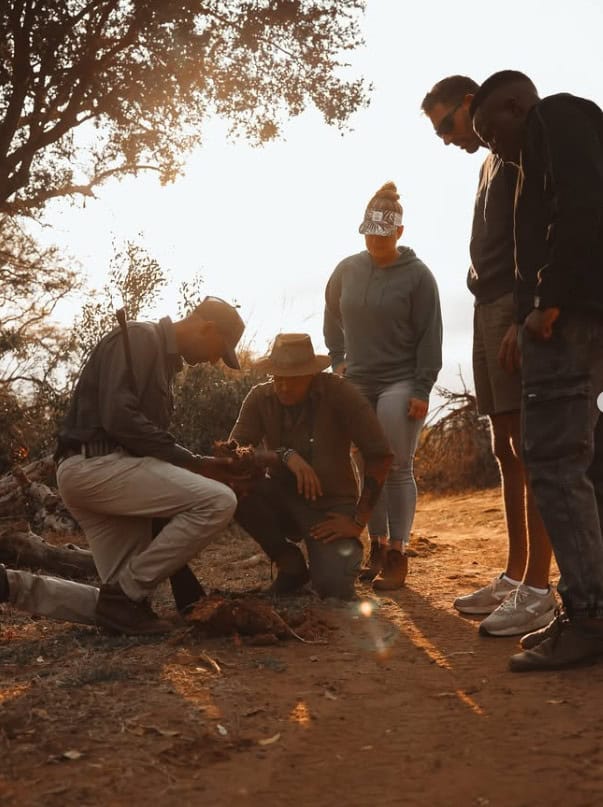 BIG 5 BUSH WALK - HOEDSPRUIT