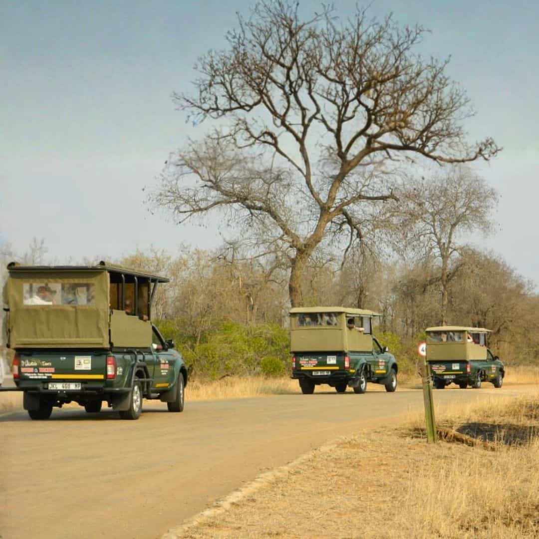 Safari duration and itinerary information