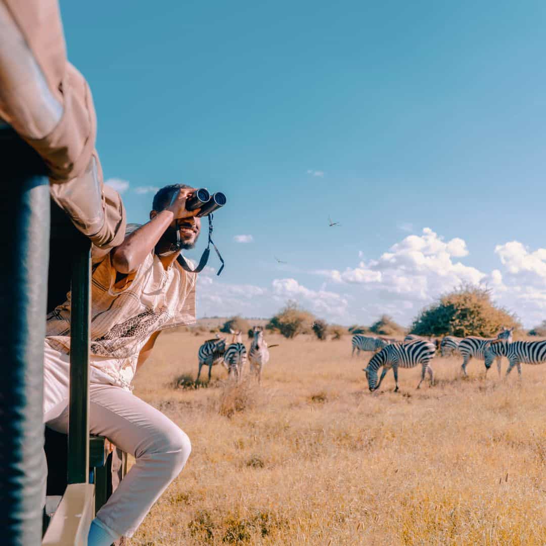 Alcohol and behaviour policy on safari