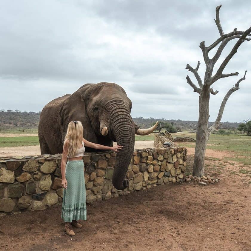 elephants jabulani hoedspruit