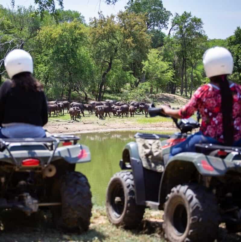 Explore the stunning African wilderness on quad bikes with two riders overlooking a herd of elephants near a waterhole, surrounded by lush greenery and trees in South Africa.