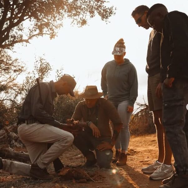 Planting a tree in a natural outdoor setting with five people participating, including a woman in a hat and others observing, during sunset or sunrise.