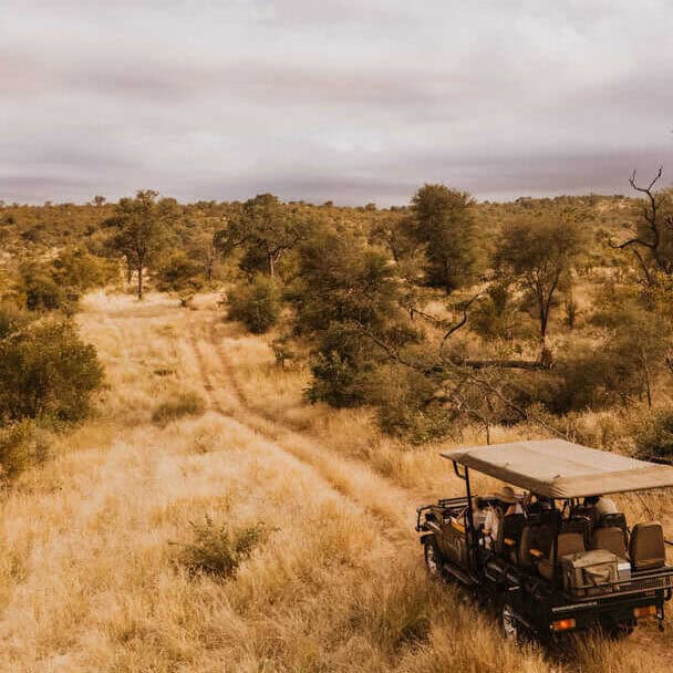 A detailed safari vehicle on a dirt trail through a golden African savannah with scattered trees under a cloudy sky, ideal for wildlife tours and safaris in South Africa.