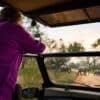 Woman taking photos of elephants on safari from a vehicle in South Africa at sunset.