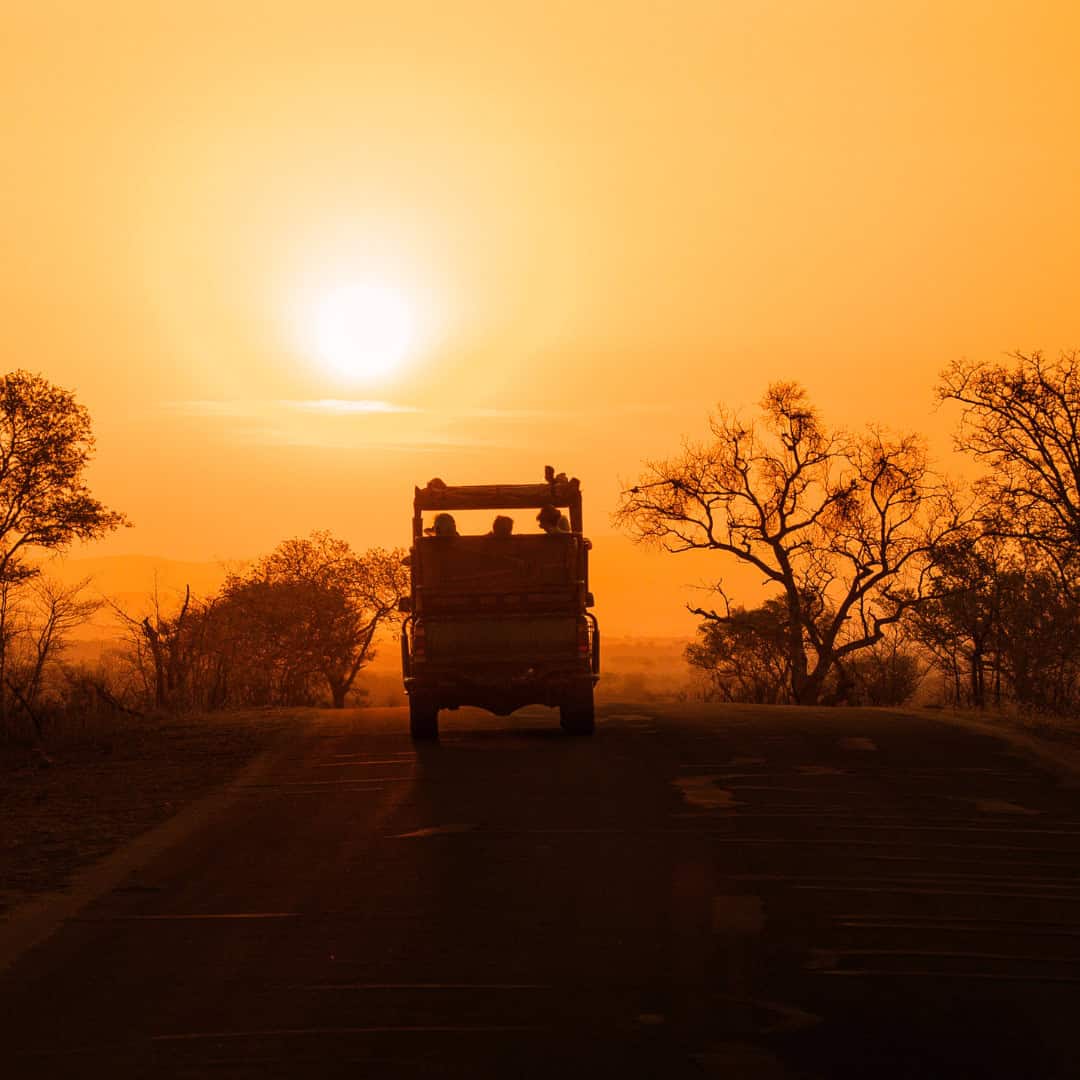 October Sunset Safari Kruger National Park special