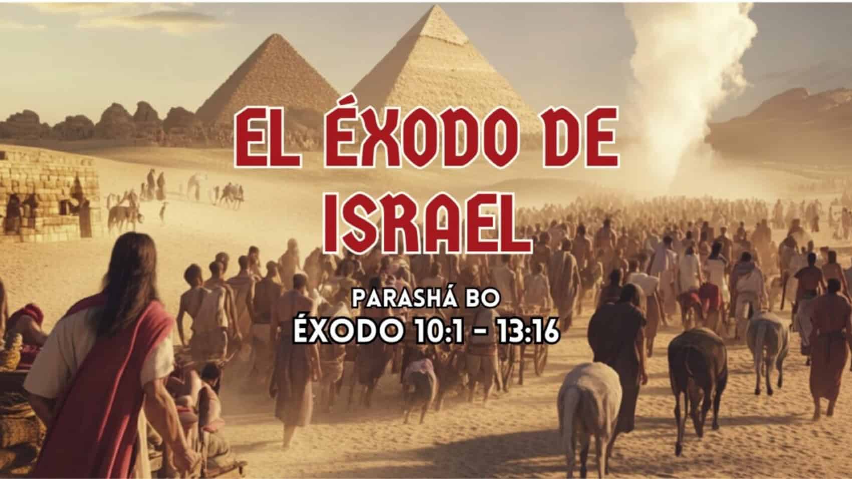 Parasha Bo - Header