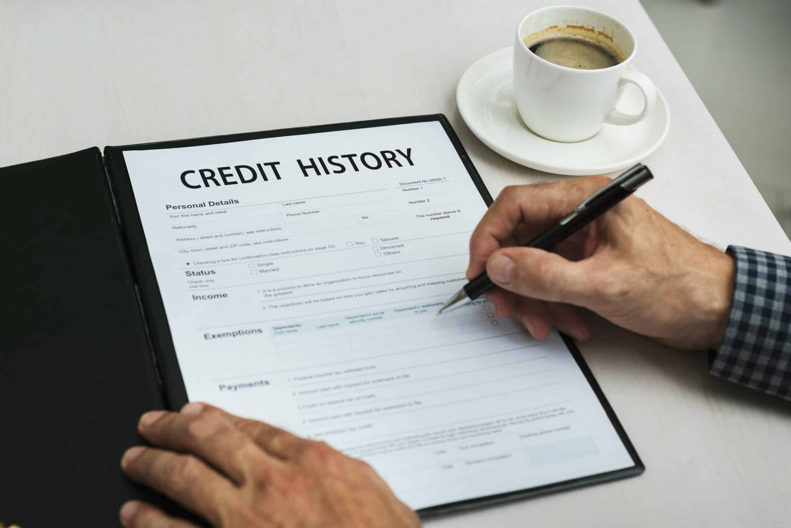 Person reviewing a credit history form.