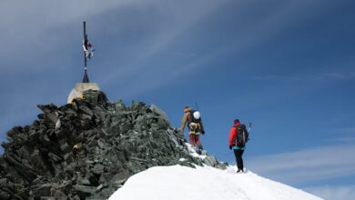 A successful winter paves the way for a summer full of innovations