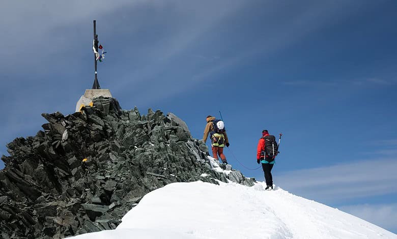 A successful winter paves the way for a summer full of innovations