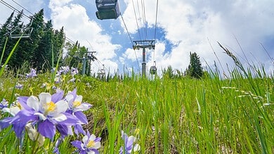 Colorado resorts announce new and exciting summer experiences