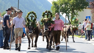 The animals in the Stubai Valley are decorated with a lot of passion and led home during the cattle drives. © TVB Stubai Tirol