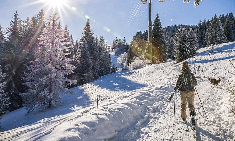 Snowy mountain landscape with skier and dog, sunny winter day, pine trees covered in snow, ski lift in background, perfect for winter sports enthusiasts.