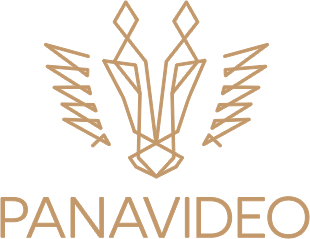 Panavideo