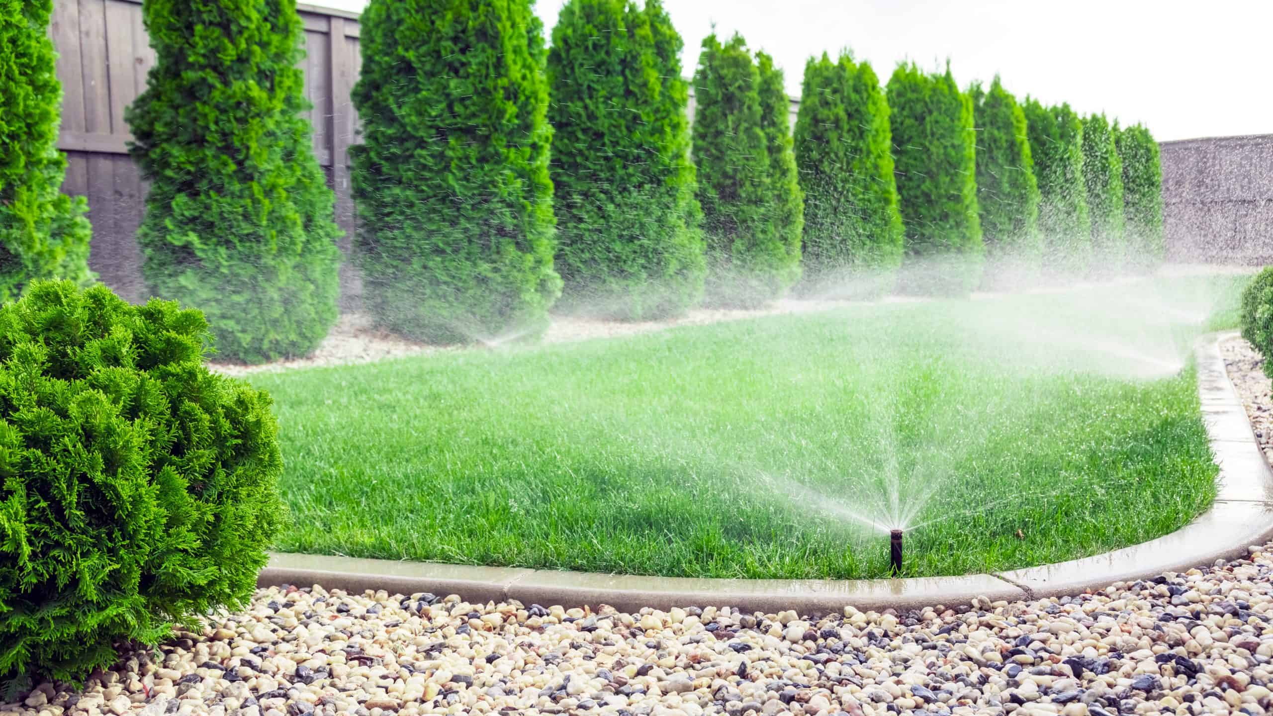 How Often Should I Water My Lawn in Indiana?