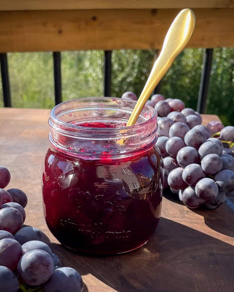 A jar of jalapeno concord grape jam (no pectin) with two bunches of grapes.
