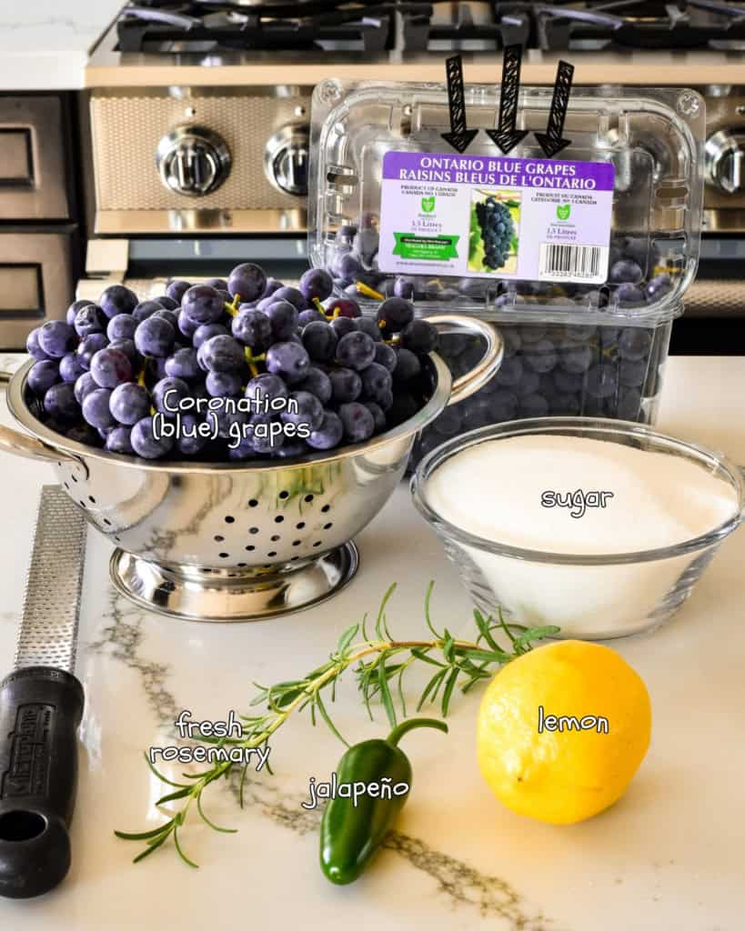 Five ingredients laid out for a Concord grape jalapeno jam recipe.