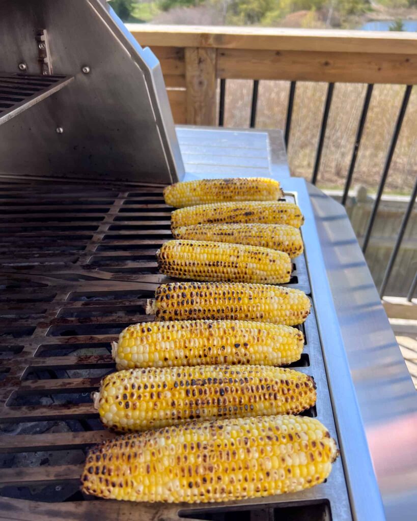 Eight cobs of corn lined up on the grilled and evenly charred.