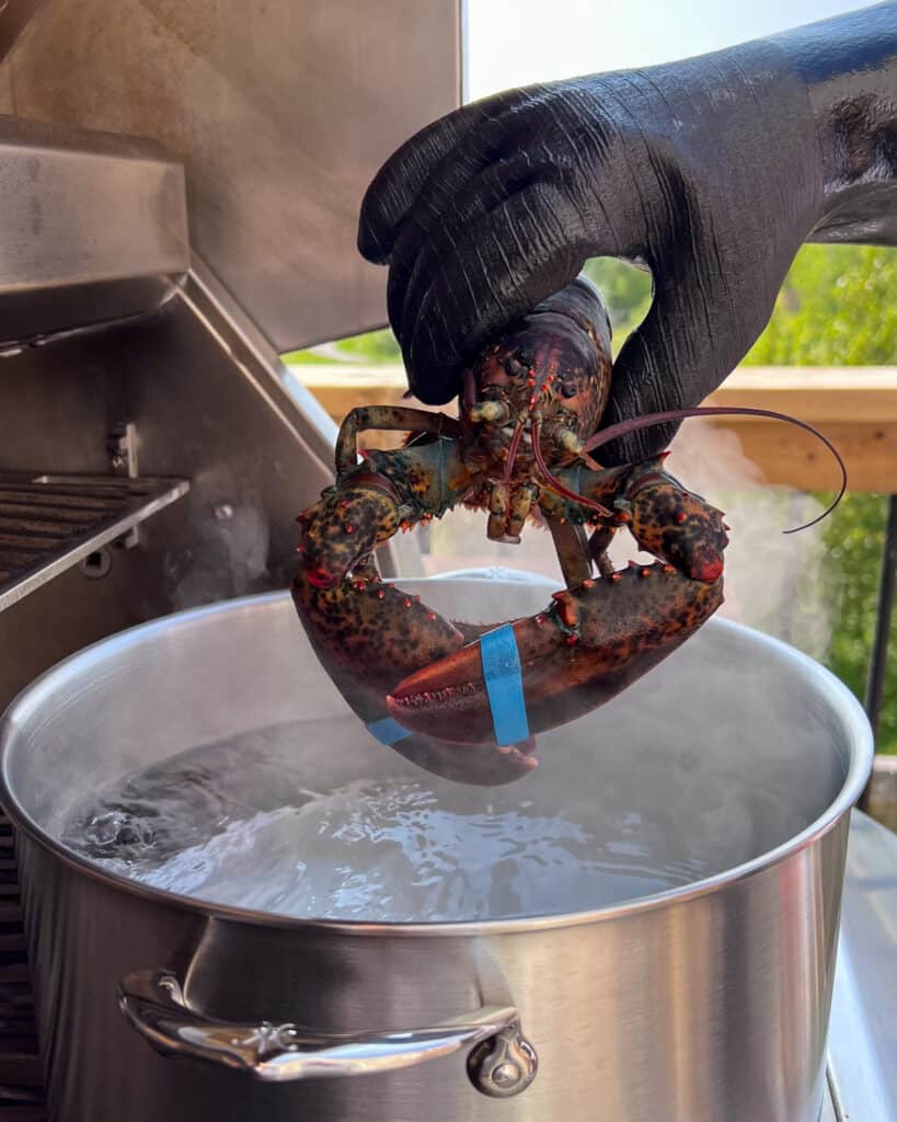 Placing a lobster into a pot of boiling water on the grill.