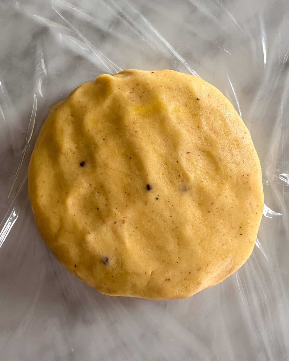 Galette dough shaped into into a disk.