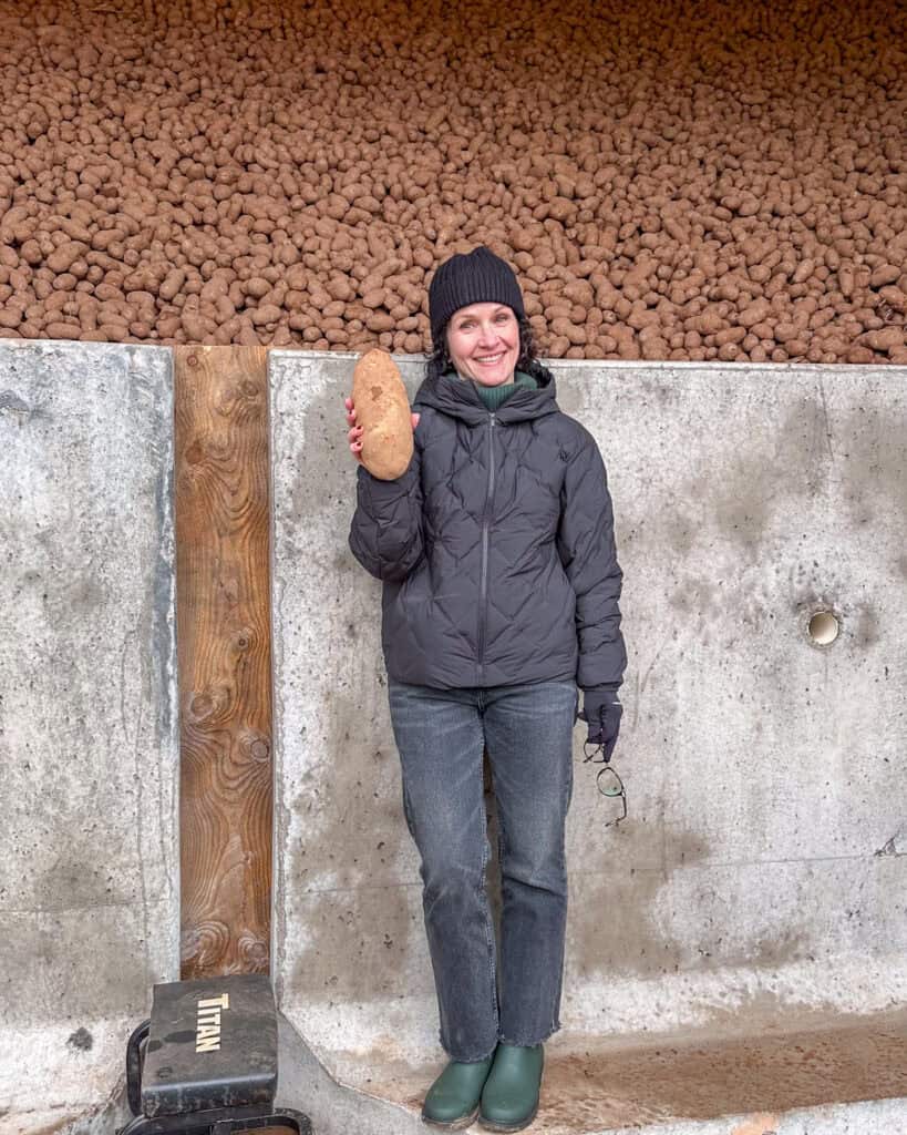Holding a large potatoe from a storage unit.