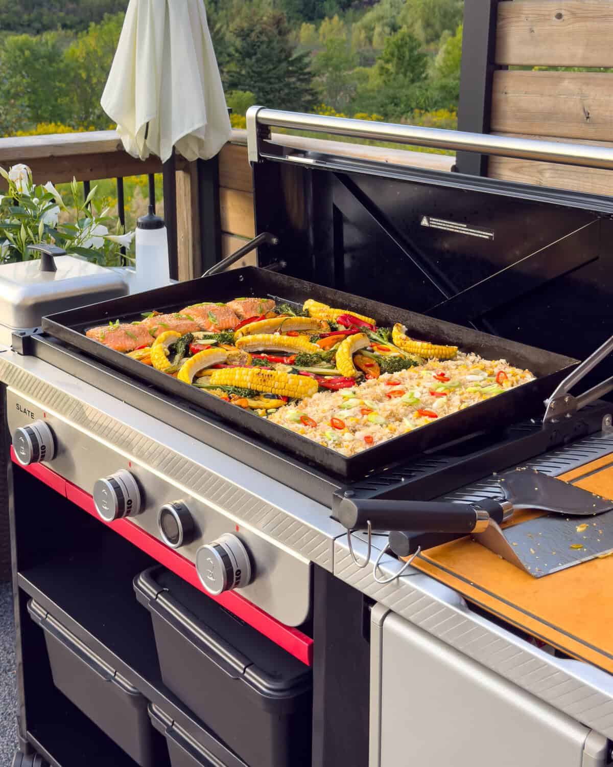 Colorful grilled vegetables and rice cooking on a barbecue grill on a patio with scenic outdoor view.