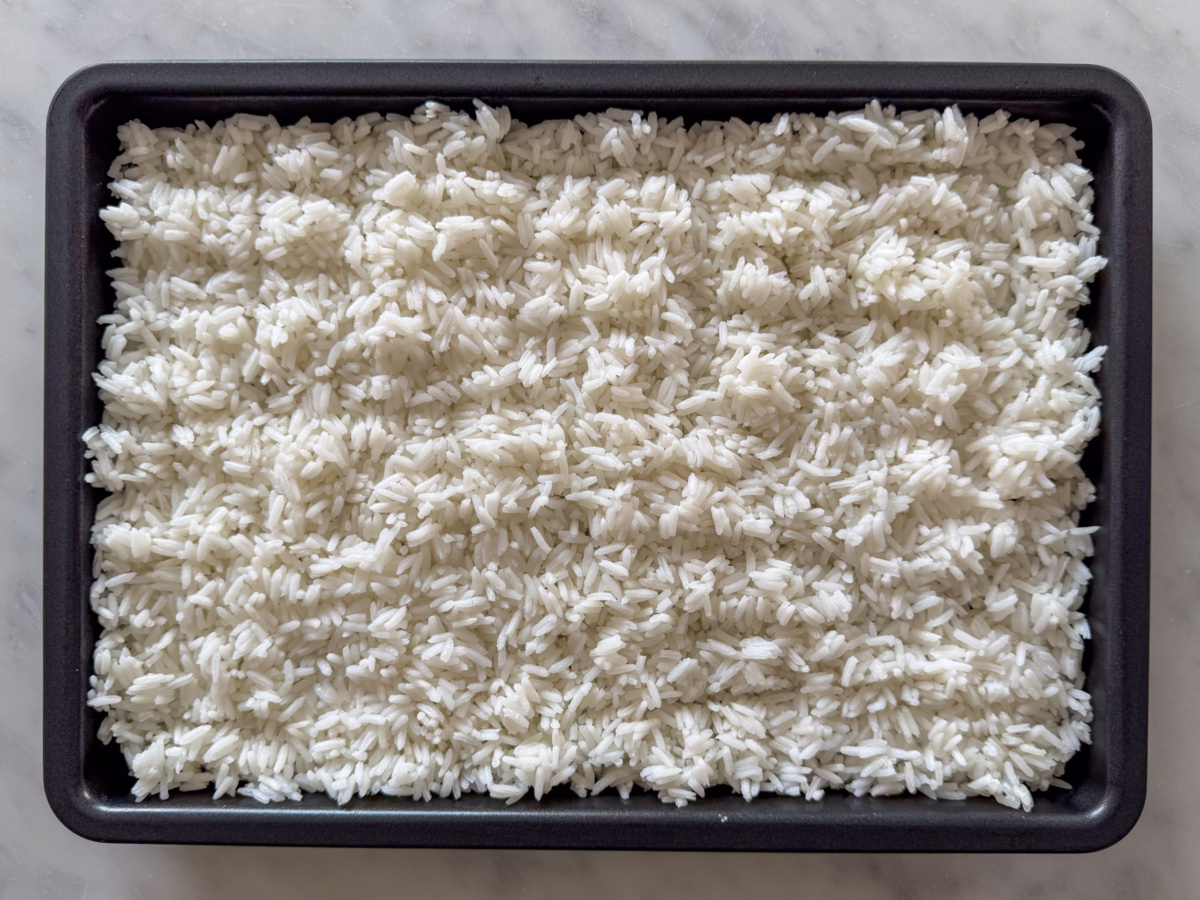 Freshly cooked steamed jasmine rice on a rimmed sheet pan in a thin layer to let steam escape.