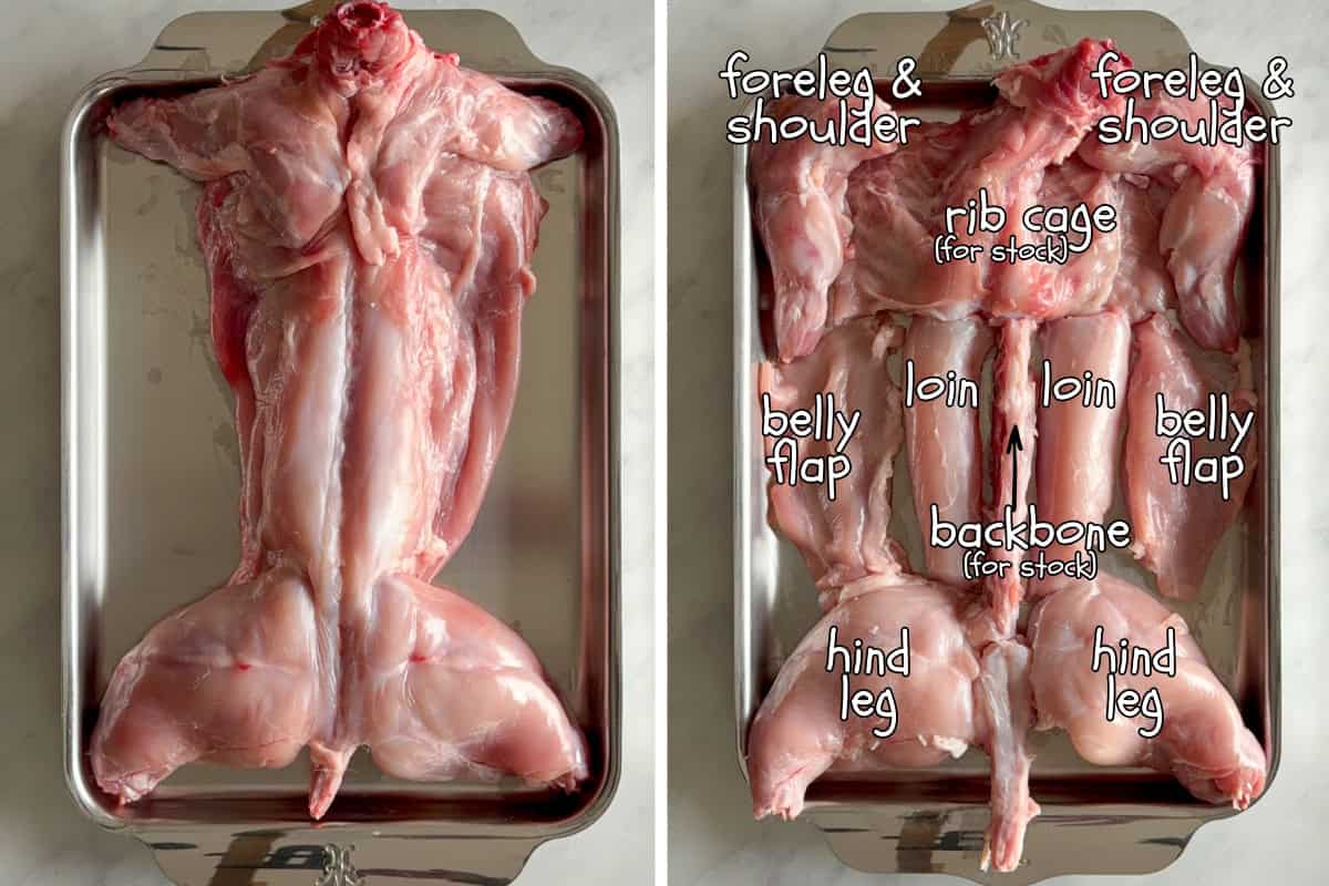 Raw whole rabbit on a metal tray with labeled anatomy including foreleg, hind leg, loin, belly flap, rib cage, backbone and hind leg.